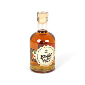 Moesta BrainStorm Haselnuss (500ml), Lebensmittel